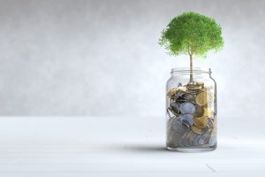 A tree grows on a coin in a glass jar, Money saving concept