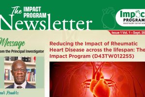 impact-program-newsletter