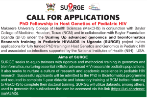 Screenshot 2026-02-13 161630